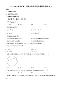 2024年广东省汕头市潮南区陈店镇中考一模数学试题（原卷版+解析版）