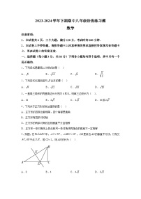 河南省周口市西华县2023-2024学年八年级下学期期中数学试题（含解析）