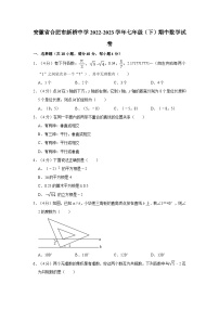 安徽省合肥市新桥中学2022-2023学年七年级下学期期中数学试卷