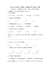 广东省湛江市雷州市第二中学2023-2024学年七年级下学期4月期中数学试题