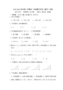 广东省湛江市雷州市第二中学2023-2024学年七年级下学期4月期中数学试题