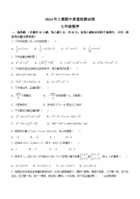 湖南省岳阳市2023-2024学年七年级下学期期中数学试题