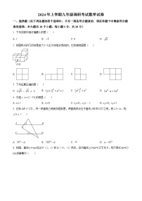 湖南省长沙市浏阳市2023-2024学年九年级下学期期中数学试题（原卷版+解析版）