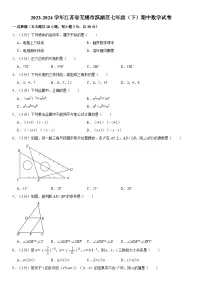 +江苏省无锡市滨湖区2023-2024学年七年级下学期期中数学试卷