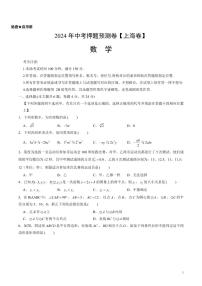 2024年中考押题预测卷2【上海卷】数学（考试版）