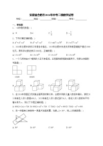 安徽省合肥市2024年中考二模数学试卷(含答案)