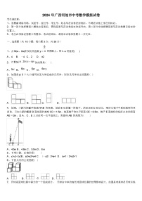 2024 年广西河池市中考数学模拟试卷(解析版)
