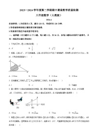 河北省廊坊市霸州市2023-2024学年八年级下学期期中数学试题(原卷版+解析版)