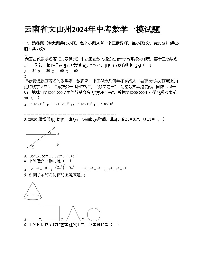 云南省文山州2024年中考数学一模试题01