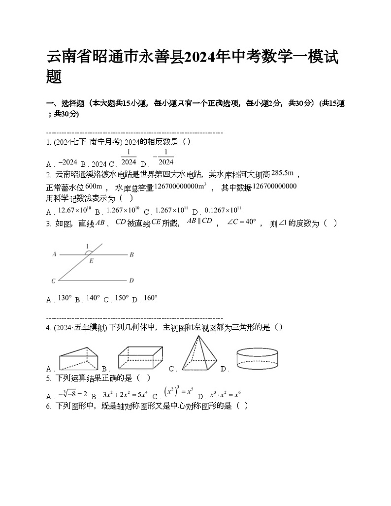 云南省昭通市永善县2024年中考数学一模试题第1页