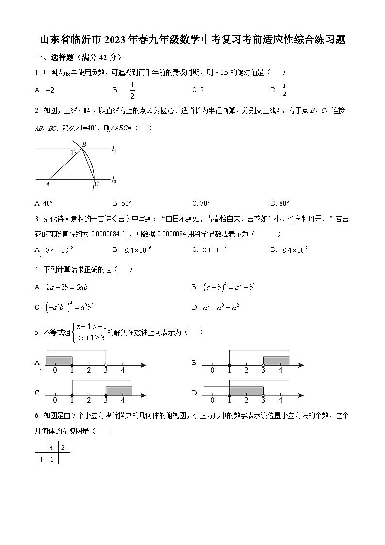 2023年山东省临沂市九年级数学中考复习考前适应性综合模拟预测题(原卷版)第1页