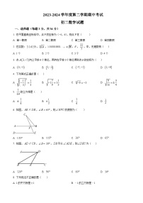 黑龙江省绥化市望奎县2023-2024学年七年级下学期期中数学试题（原卷版+解析版）