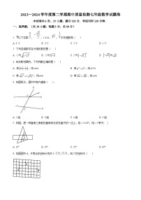 广东省广州外国语学校2023-2024学年七年级下学期期中数学试题（原卷版+解析版）