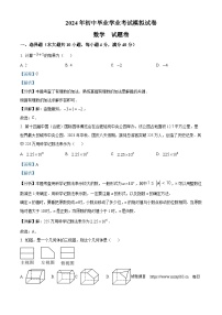 2024年安徽省合肥市新站区中考二模数学试题
