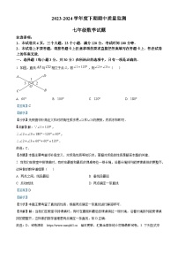 河南省信阳市息县2023-2024学年七年级下学期期中数学试题