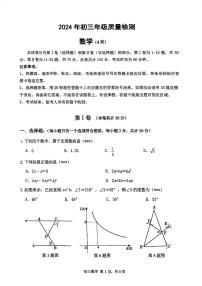 【33?！?024年深圳市初三年級質(zhì)量檢測數(shù)學(xué)（4月）+參考答案