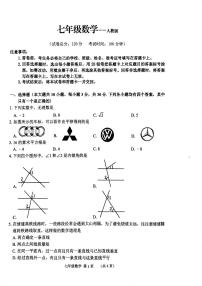 河南省驻马店市泌阳县2023-2024学年七年级下学期4月月考数学试卷(含答案)