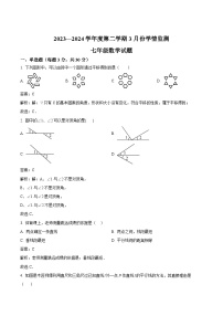 山东省济宁市金乡县2023-2024学年七年级下学期3月月考数学试卷(含解析)