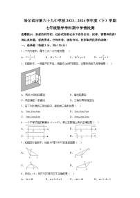 黑龙江省哈尔滨市第六十九中学校2023-2024学年七年级下学期期中数学试题（含解析）