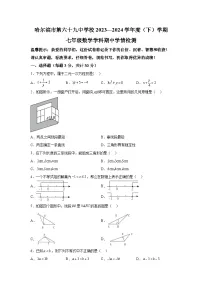 黑龙江省哈尔滨市第六十九中学校2023-2024学年七年级下学期期中数学试题(含解析)