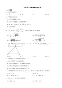 湖北省武汉市洪山区2024年七年级下学期期末数学试题(附参考答案)