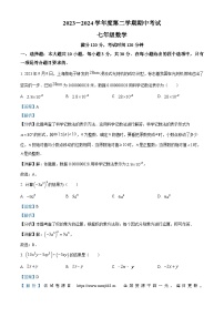 广东省茂名市电白区2023-2024学年七年级下学期期中数学试题
