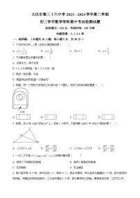 黑龙江省大庆市第三十六中学2023-2024学年九年级下学期期中数学试题