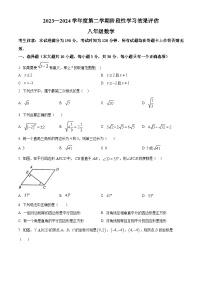 甘肃省陇南市2023-2024学年八年级下学期期中数学试题