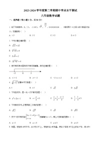 山东省菏泽市巨野县2023-2024学年八年级下学期期中数学试题