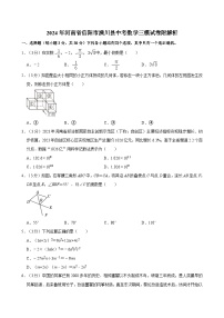 2024年河南省信阳市潢川县中考数学三模试卷附解析