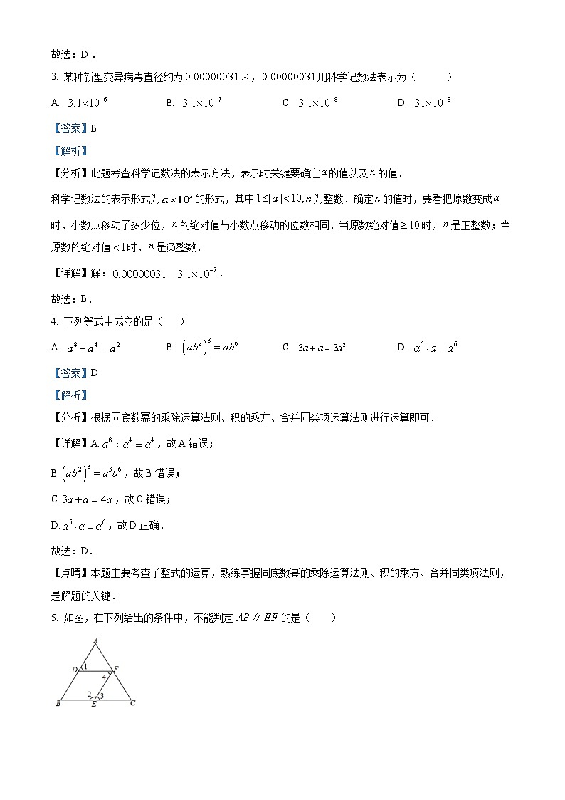 浙江省温州市瑞安市五校联考2023-2024学年七年级下学期4月期中考试数学试题(原卷版+解析版)02