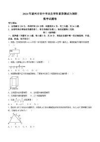2024年浙江省嘉兴市中考二模数学试题