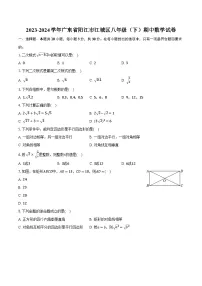 2023-2024学年广东省阳江市江城区八年级（下）期中数学试卷（含解析）