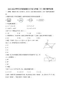 2023-2024學(xué)年江蘇省鹽城市大豐區(qū)七年級(jí)（下）期中數(shù)學(xué)試卷（含解析）
