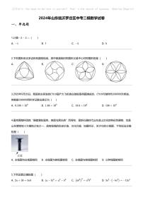 2024年山东临沂罗庄区中考二模数学试卷