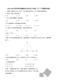 2023-2024学年河北省廊坊市安次区八年级（下）月考数学试卷（含解析）