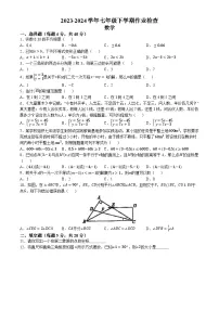 06，安徽省阜阳市颍州区阜阳市第一初级中学2023-2024学年七年级下学期月考数学试题(无答案)