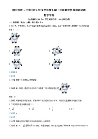 06，广西壮族自治区柳州市铁五中学2023-2024学年七年级下学期期中数学试题