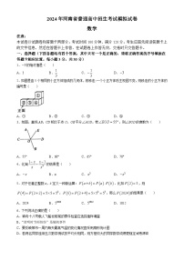 07，2024年河南省驻马店市遂平县中考三模数学试题