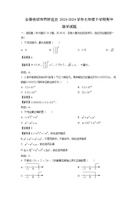 数学:安徽省蚌埠市怀远县2023-2024学年七年级下学期期中试题(解析版)
