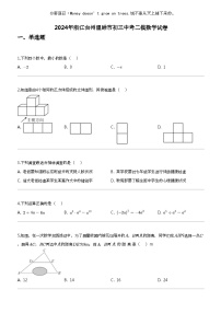 2024年浙江台州温岭市初三中考二模数学试卷