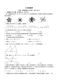 湖南省衡阳市部分学校2023-2024学年七年级下学期月考数学试题(无答案)