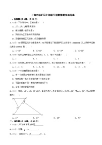 上海市徐汇区2023—2024学年七年级下学期数学期末练习卷
