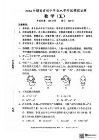 2024年湖南省邵阳市新邵县九年级中考三模数学试题