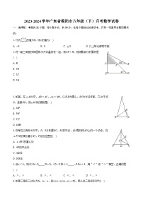2023-2024学年广东省揭阳市八年级（下）月考数学试卷（含解析）