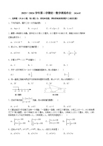 江苏省苏州市新区实验初中2023-2024学年下学期七年级数学5月月考试卷(无答案)
