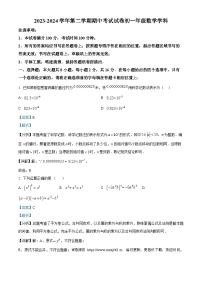 江苏省苏州市西安交通大学苏州附属初级中学2023-2024学年七年级下学期期中数学试题