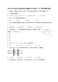 山东省枣庄市滕州市2022-2023学年七年级下学期期中考试数学试卷(含解析)