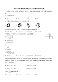 2024年西藏自治区拉萨市城关区中考数学一模试卷+