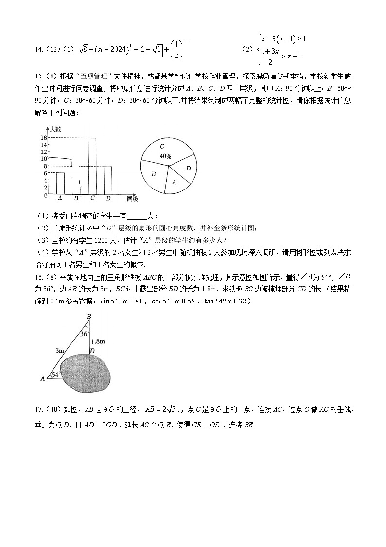 2024年四川省成都市锦江区师一学校九年级中考数学模拟试题(无答案)03